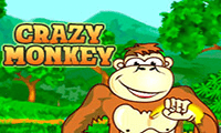 Crazy Monkey