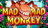 Mad Mad Monkey