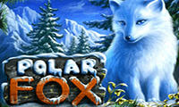 Polar Fox