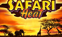 Safari Heat