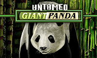 Untamed Giant Panda