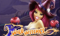 Играть в аппарат Wild Witches